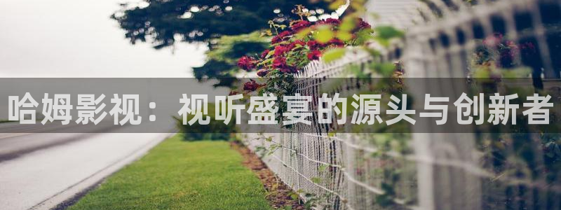 51视频下载的吗：哈姆影视：视听盛宴的源头与创新者