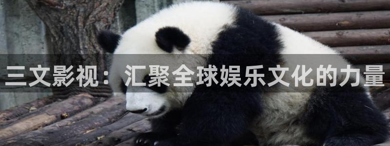51视频会员：三文影视：汇聚全球娱乐文化的力量
