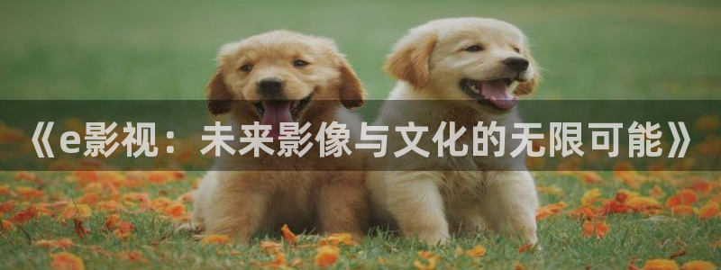 51视频国产：《e影视：未来影像与文化的无限可能》