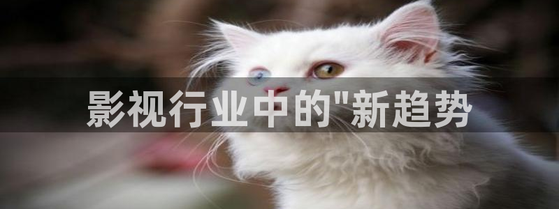 51视频小说：影视行业中的\