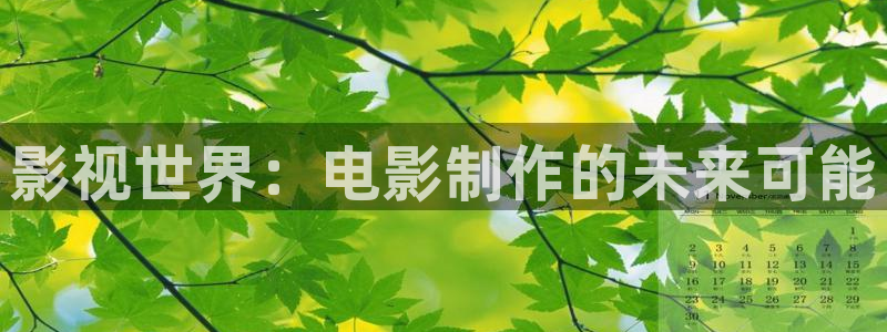 免费观看51视频：影视世界：电影制作的未来可能