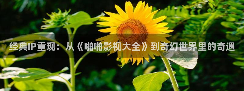 www.51视频在线观看：经典IP重现：从《啪啪影视大全》到奇幻世界里的奇遇