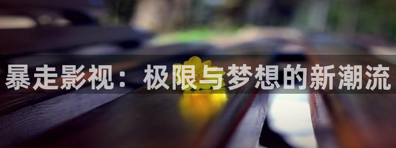 51视频内在线：暴走影视：极限与梦想的新潮流