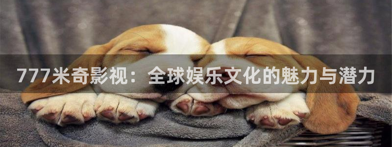 51视频网站：777米奇影视：全球娱乐文化的魅力与潜力