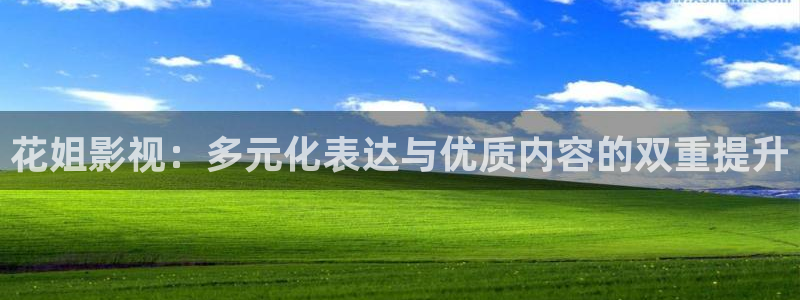 www.51视频在线：花姐影视：多元化表达与优质内容的双重提升